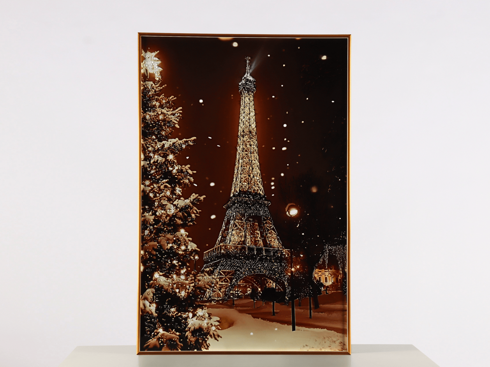 IMG_3894 شتاء باريس - الصورة 1